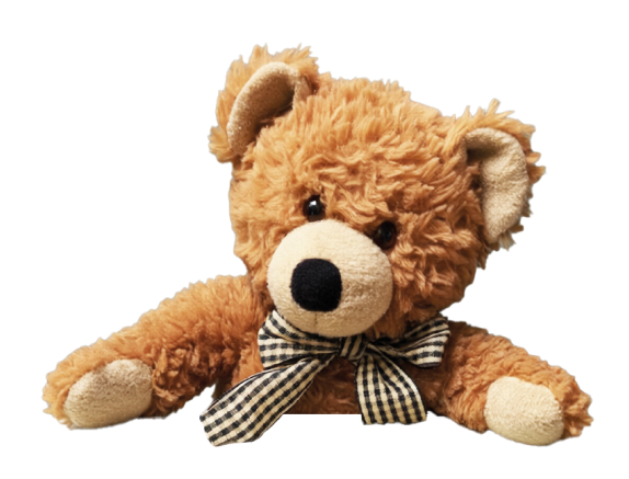 Berta – der Teddybär von Rettet das Kind
